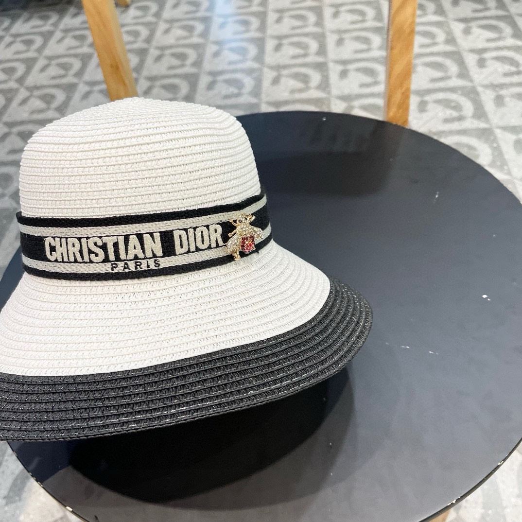 Christian Dior Caps